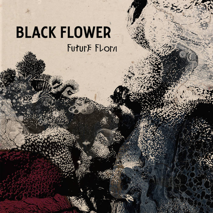 black-flower-future-flora